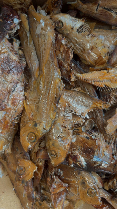 Poisson sec 100g :: EKIFA EXOTIQUE