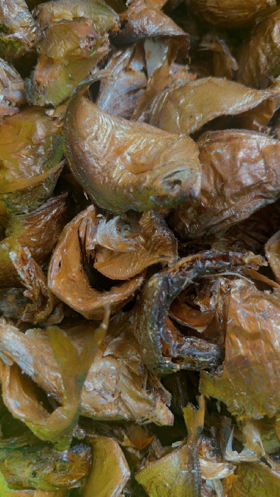 Poisson sec 100g :: EKIFA EXOTIQUE